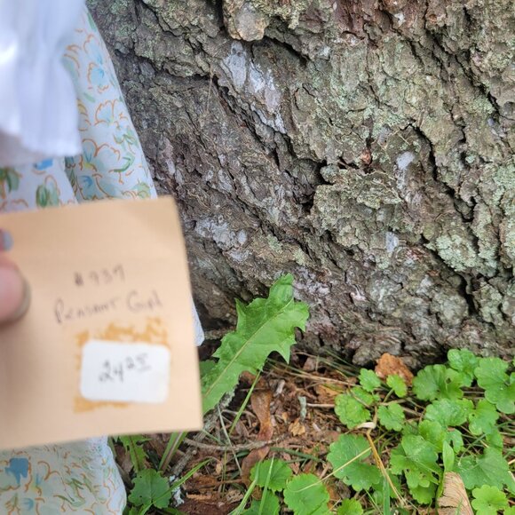 24" Porcelain Victorian Doll With Floral Dress & Bonnet By The Village Crossroad - Picture 5 of 7